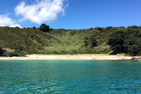 Waiheke Island: Skog och strand: Guidad promenad i premiumklassWaiheke Island: Skog och strand - guidad promenad