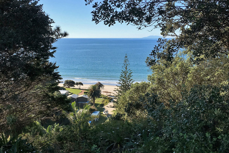 Waiheke Island: Skog och strand: Guidad promenad i premiumklassWaiheke Island: Skog och strand - guidad promenad