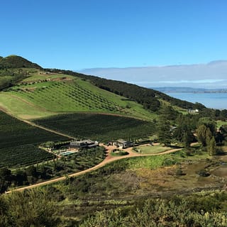 Waiheke Island: Vineyards and Bush Walk