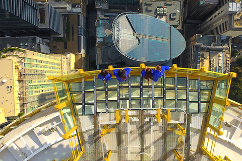 Skywalk at The Sydney Tower Eye: Ticket & Tour Skywalk at Sydney Tower: Ticket and Tour - Weekday