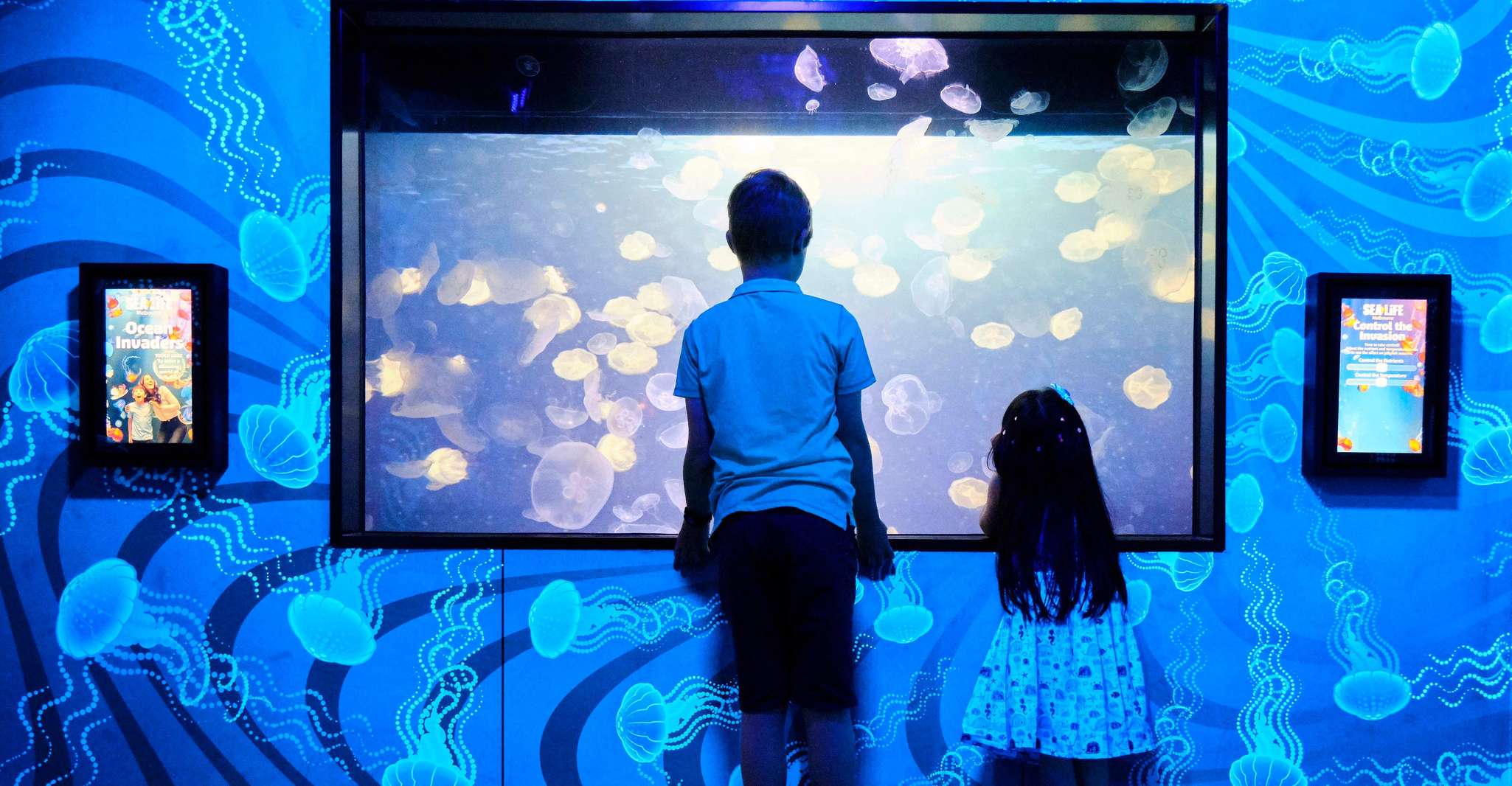 Melbourne: SEA LIFE Aquarium Entrance Ticket photo 11