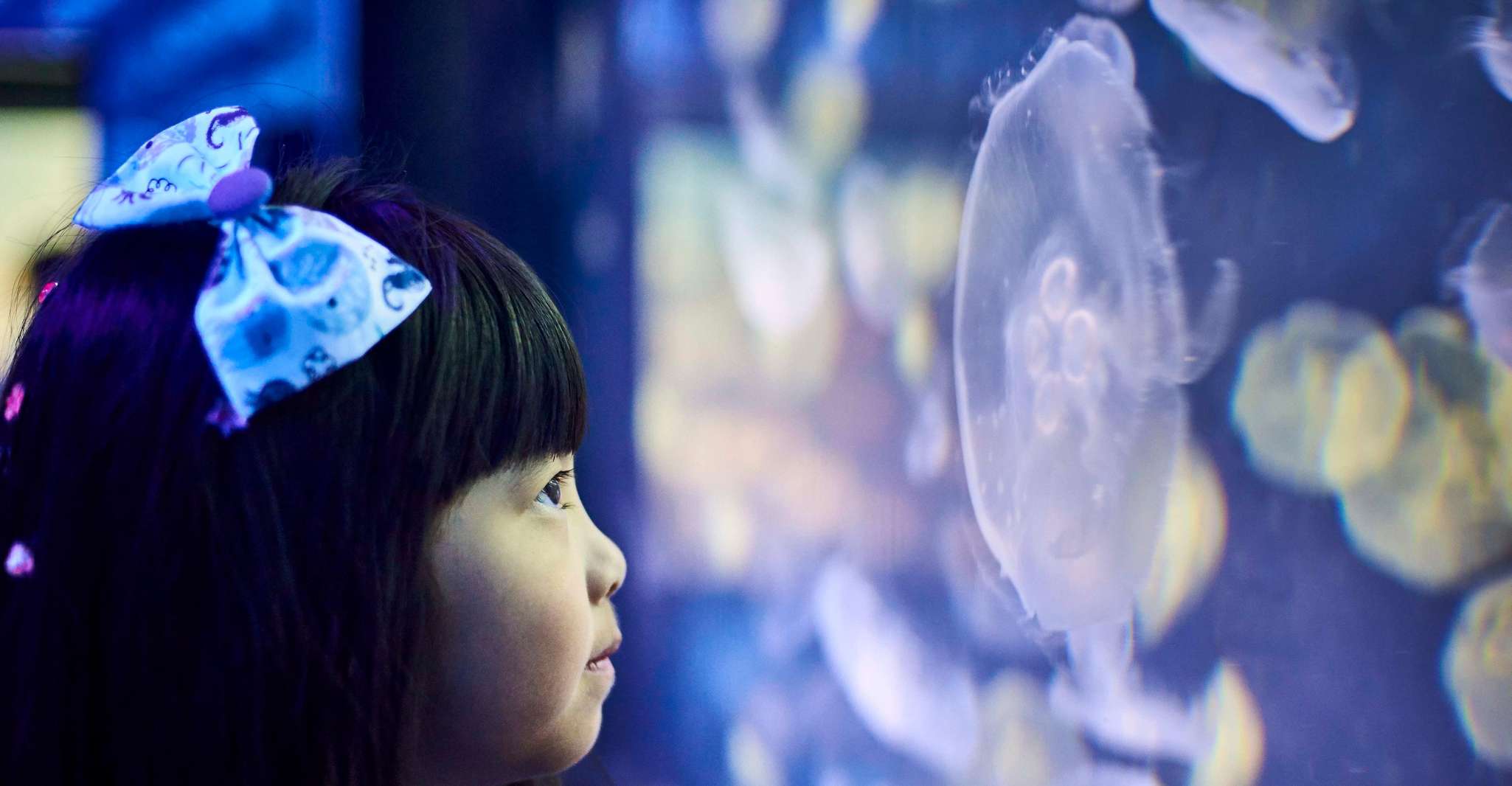 Melbourne: SEA LIFE Aquarium Entrance Ticket photo 10