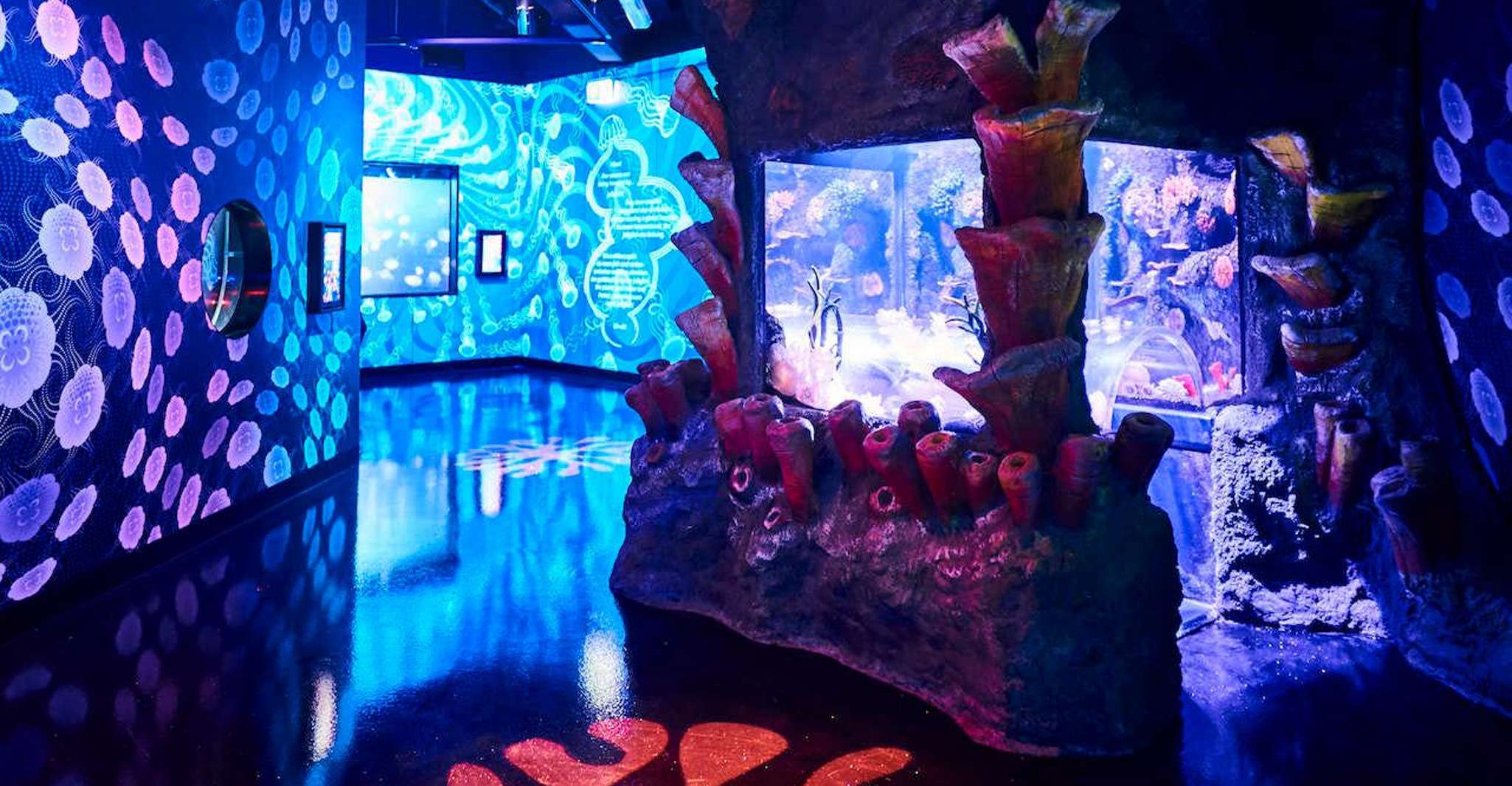 Melbourne: SEA LIFE Aquarium Entrance Ticket photo 5