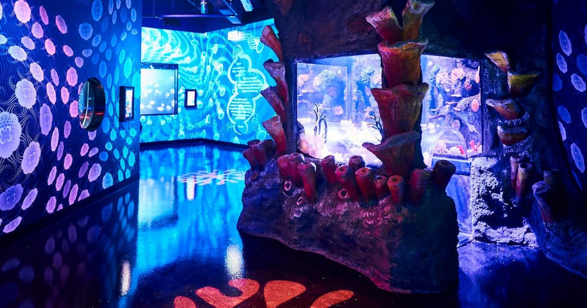 Melbourne SEA LIFE Aquarium Entrance Ticket GetYourGuide
