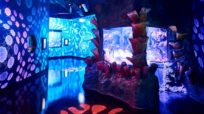 melbourne entrada al acuario sea life
