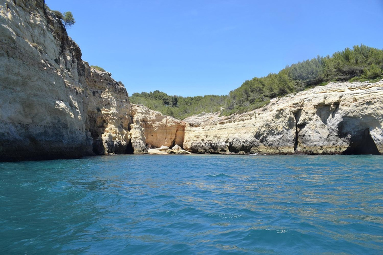 Depuis Lisbonne : Excursion d'une journée sur la côte de l'Algarve