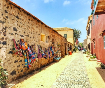 From Dakar or Saly: Gorée Island Half-Day Private Tour