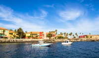 From Dakar or Saly, Gorée Island Half-Day Private Tour - Housity