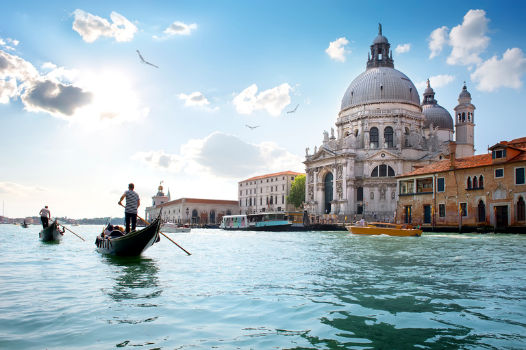 Venice Museum Pass & Doge's Palace Entrance Ticket Venice 180-Day Museum Pass Plus