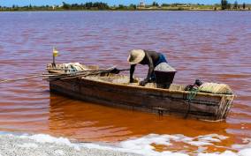 From Dakar or Saly: Half-Day Tour to Pink Lake