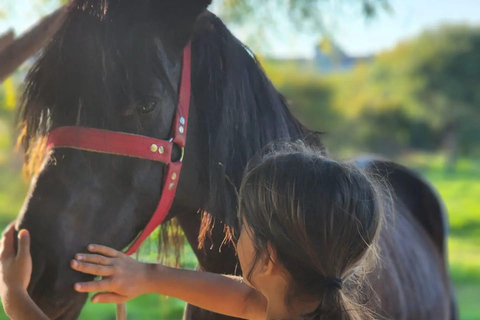 Horseback riding through dunes and pine forests to the beach in Side Horseback riding through dunes and pine forests to Side Beach