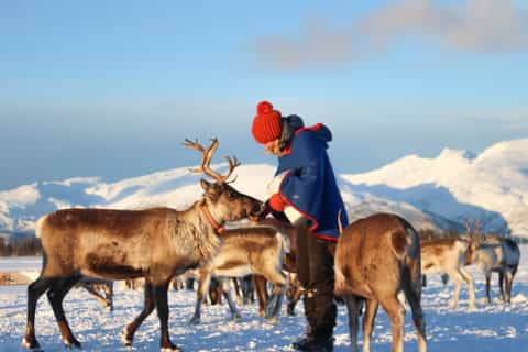 From Tromsø: Reindeer Ranch and Sami Culture Tour