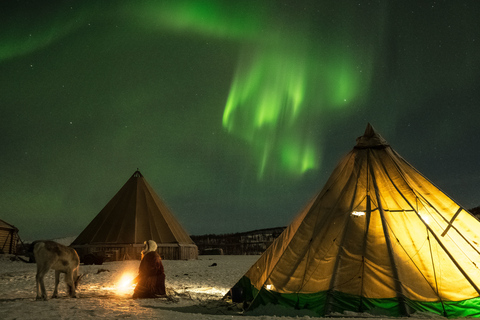 Tromsø: Reindeer Camp Dinner with Chance of Northern Lights