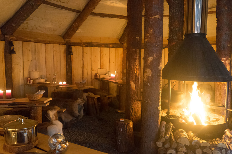 Tromsø: cena en campamento de renos con aurora boreal