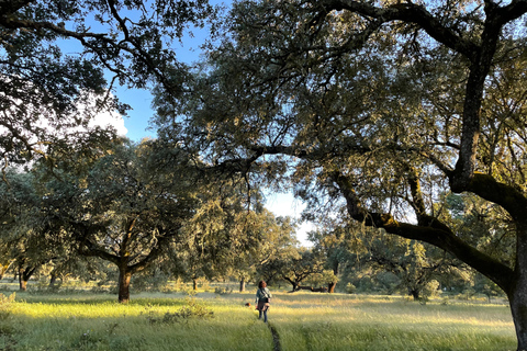 Évora: Cork Factory and Cork Farm Lunch included