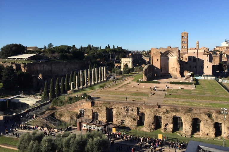 Rome: Roman Forum, Palatine, and Circus Maximus Tour Group Tour in French (Maximum 8 Participants)