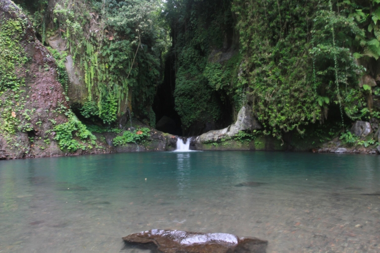 Bali: Aling-Aling Wasserfall-Trekking, Rutschen und Springen