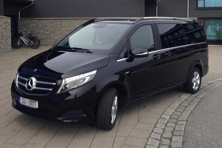 Olso: Private Transfer from the City Center to Oslo Airport