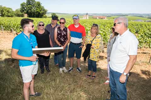 Burgundy: Winery Tour