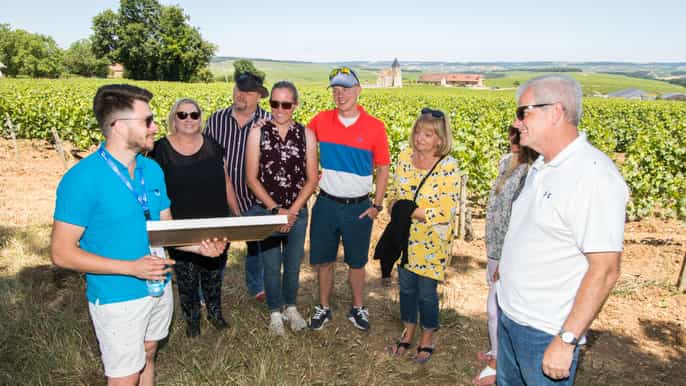 burgundy winery tour