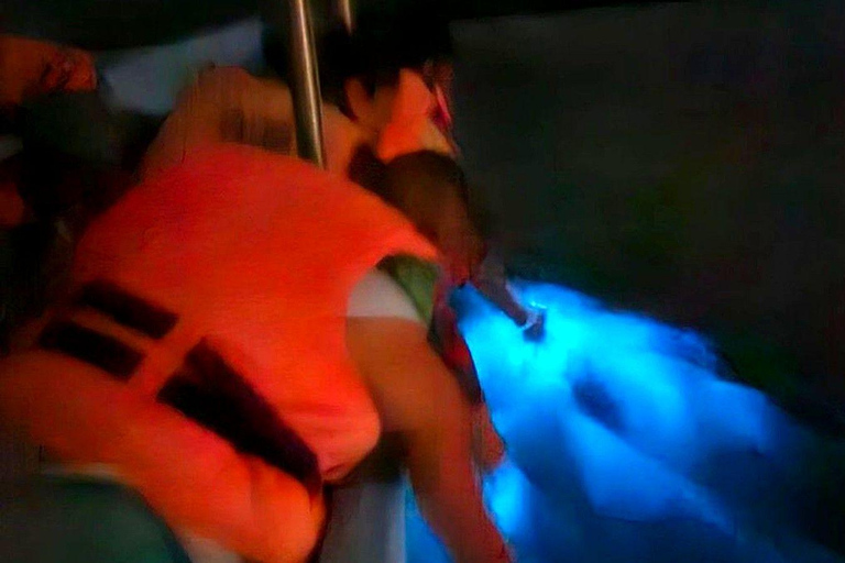 Huatulco: Turtle Release & Bioluminescence Tour