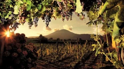 Pompeji: Ganztagestour mit Weinprobe und leichtem Mittagessen
