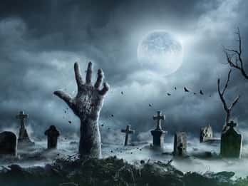 New Orleans: Nachtfriedhof und Ghost BYOB Bustour New Orleans: Nachtfriedhof und Ghost BYOB Bustour