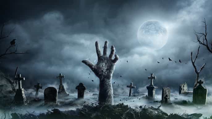 new orleans night cemetery and ghost byob bus tour
