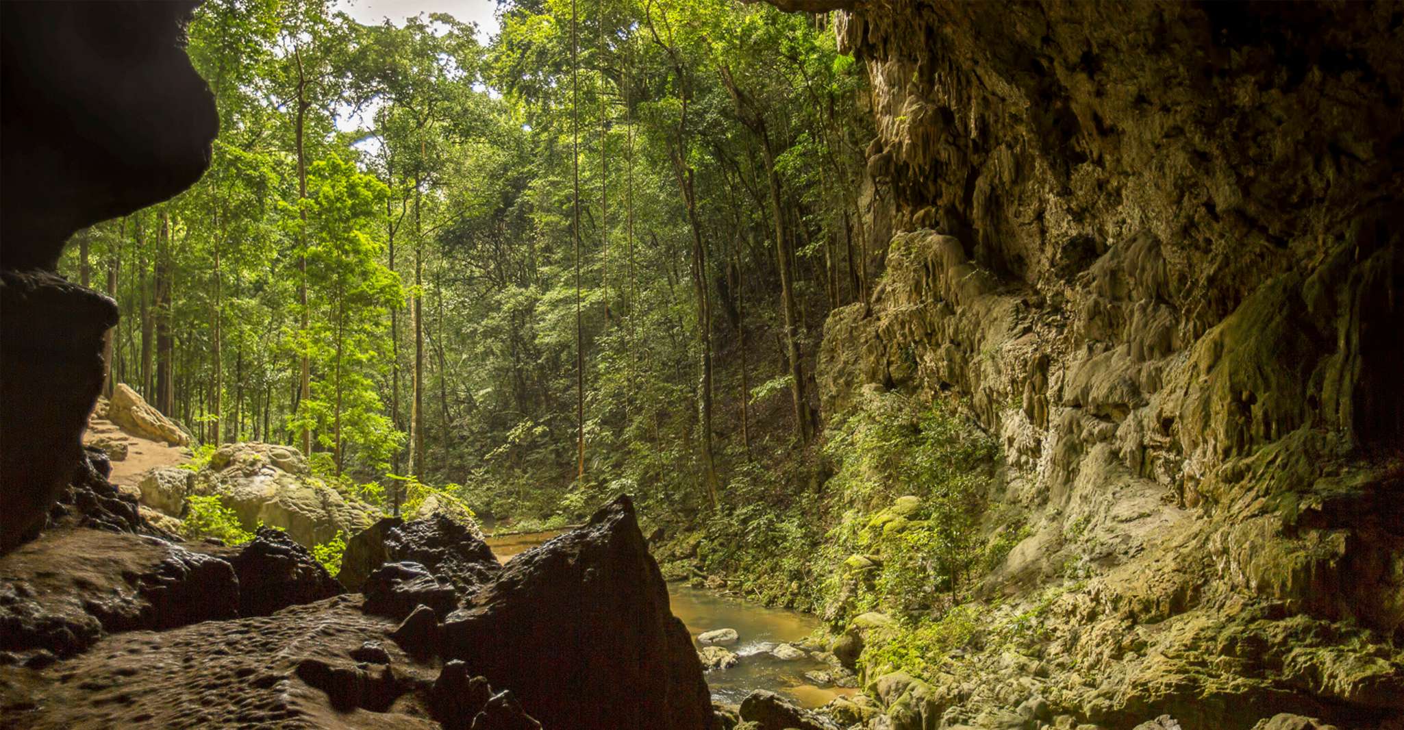 San Ignacio, Caracol Maya Ruinas y Cataratas con Almuerzo - Hizvo