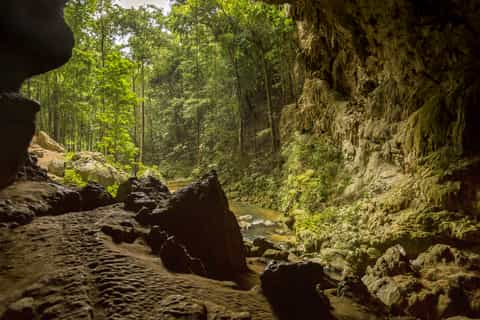 San Ignacio: Caracol Maya Ruins & Waterfall Tour with Lunch