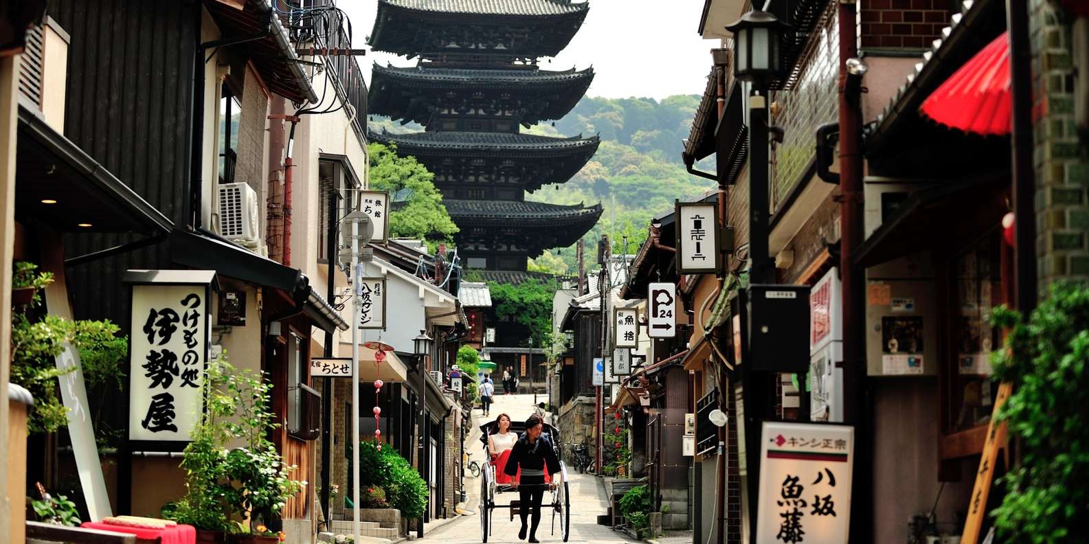 Higashiyama | Kyoto: Sakura Season Private Rickshaw Tour