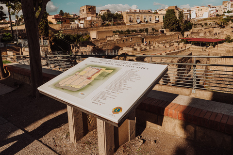 Excursion sur la côte de Pompéi et d'Herculanum avec un archéologue