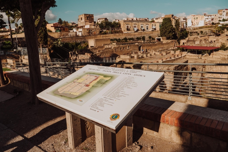Excursion sur la côte de Pompéi et d'Herculanum avec un archéologue