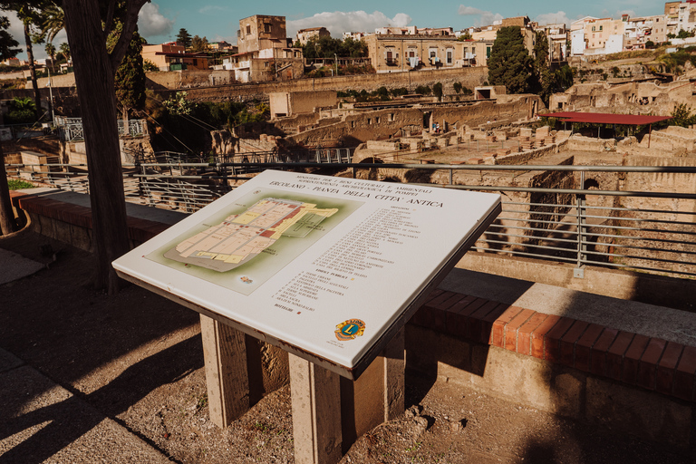 Excursion sur la côte de Pompéi et d'Herculanum avec un archéologue