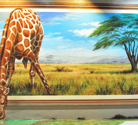 Safaris & wildlife activities