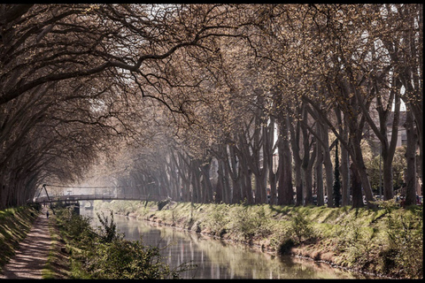 Scenic E-Bike Ride to a Hilltop Village from Toulouse