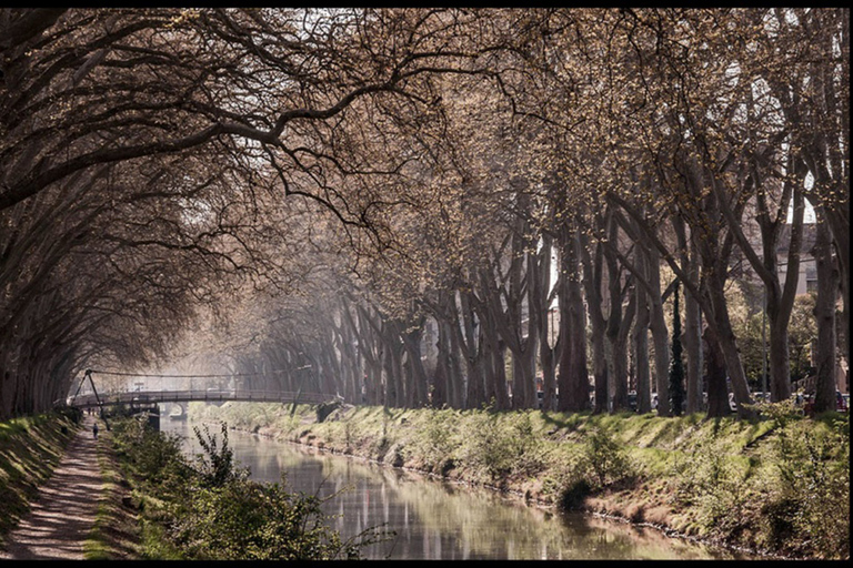 Scenic E-Bike Ride to a Hilltop Village from Toulouse