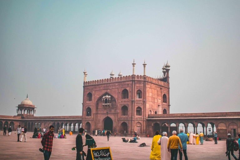 Delhi: visite privée d'une journée, Qutb Minar et frais d'entréeDelhi: visite d'une journée des monuments de Delhi avec transferts
