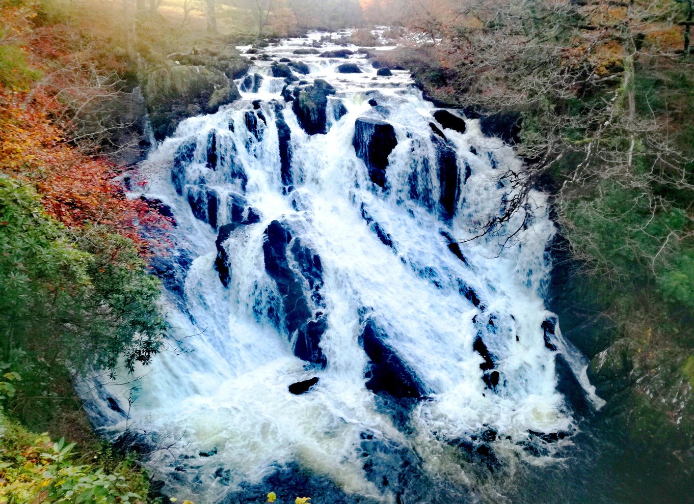 Fra Llandudno: Tur til Portmeirion, Snowdonia og slotte