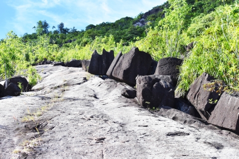 Sendero natural privado/senderismoSenderismo guiado por el Parque Nacional de las Seychelles