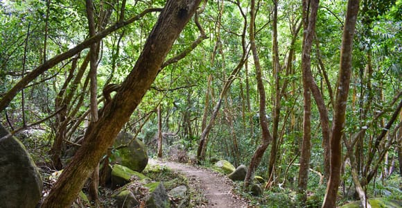 Private nature trail/hiking (1-4 persons)