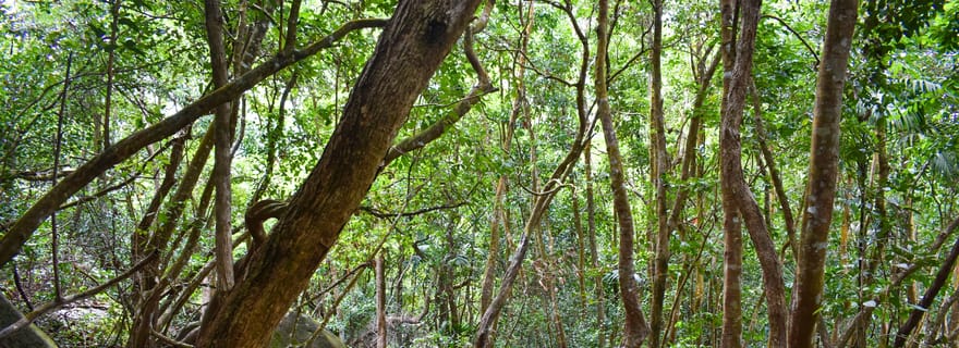 Randonnée pédestre privée (1-4 personnes)