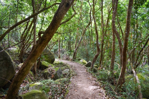 Private nature trail/hiking Seychelles National Park Guided Trail Hike