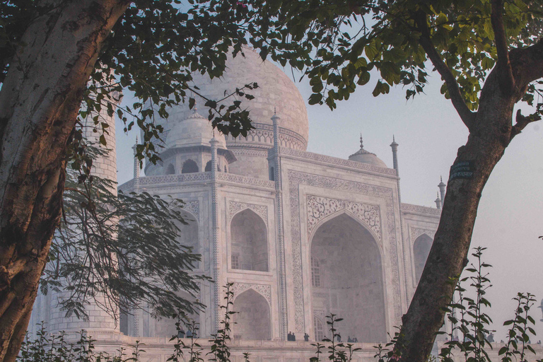 Au départ de Delhi : visite du Taj Mahal et du fort d'Agra au lever du soleilVoiture seule avec chauffeur