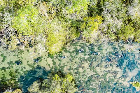 Bonito: Prata River Snorkeling