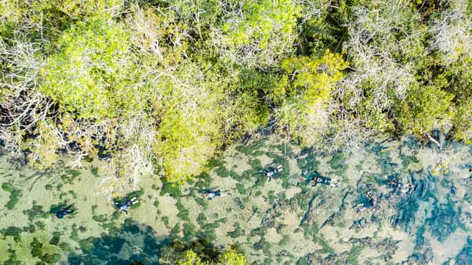 bonito prata river snorkeling