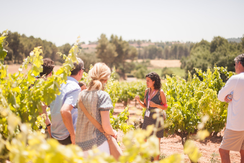 From Barcelona: Montserrat Half-Day Wine and Tapas TripTour in English