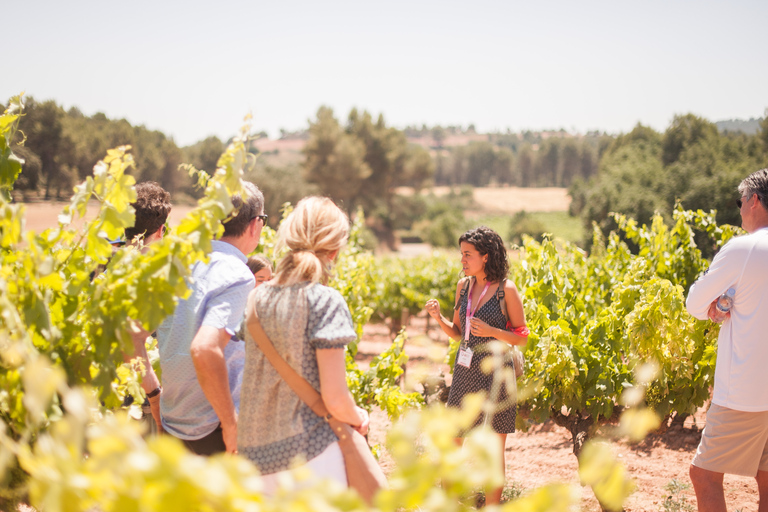 Depuis Barcelone : Excursion d'une demi-journée à Montserrat pour déguster des vins et des tapasVisite en anglais