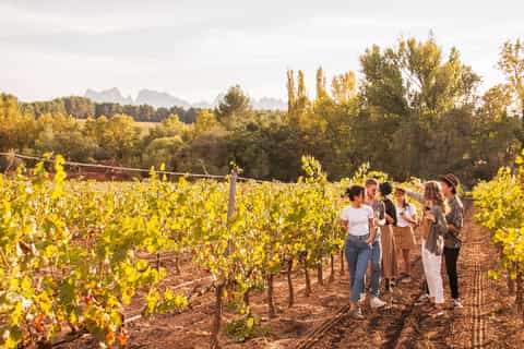 Full-Day Montserrat, Tapas and Wine Tour from Barcelona