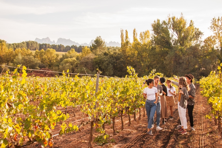 Z Barcelony: wycieczka na Montserrat i degustacja winaPrywatna wycieczka na Montserrat i degustacja wina